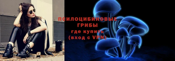 бошки Кодинск