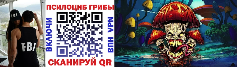 Псилоцибиновые грибы Psilocybine cubensis  Купить где  Балашов 